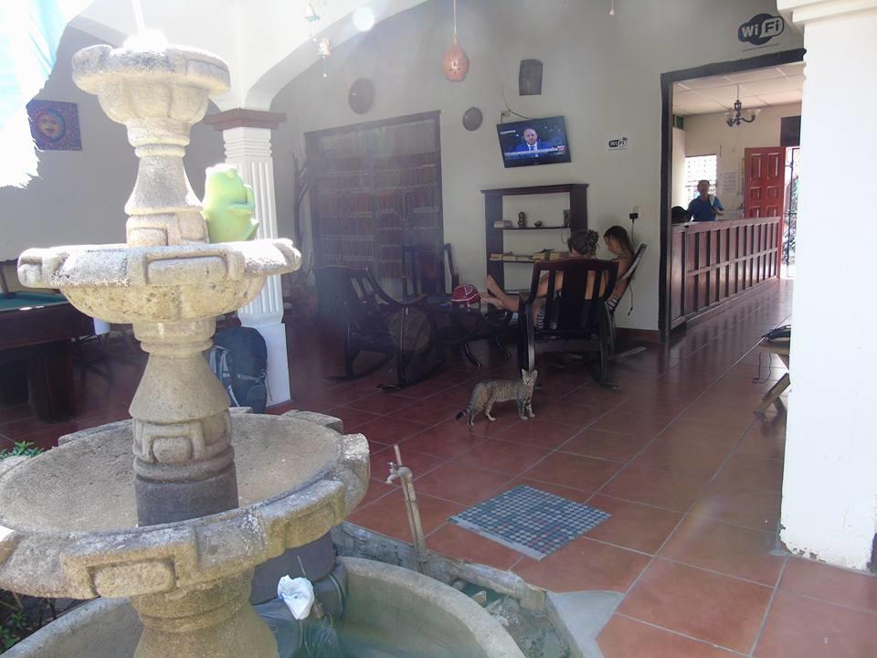 Hostal El Jardin León Exterior foto